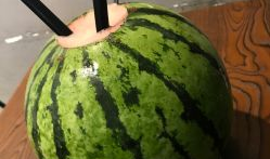 吃瓜爆料照片图片大全